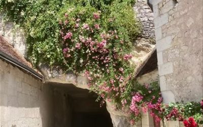 Sortie à Bourré Jeudi 19 juin 2025