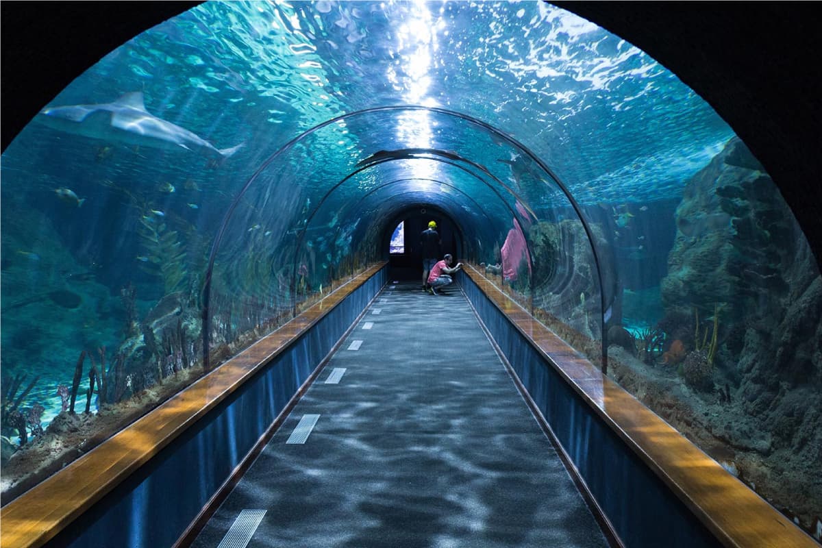 Aquarium de Touraine