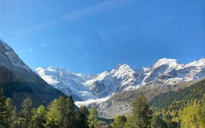 Découverte des trois pays et des trains Suisses