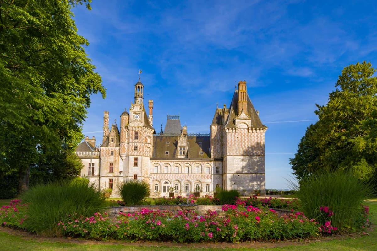 Château de Montigny-le-Gannelon