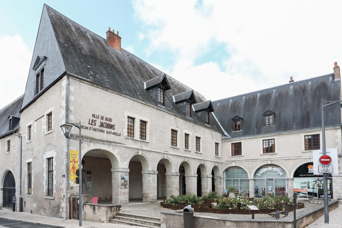 Musée d'histoire naturelle de Blois